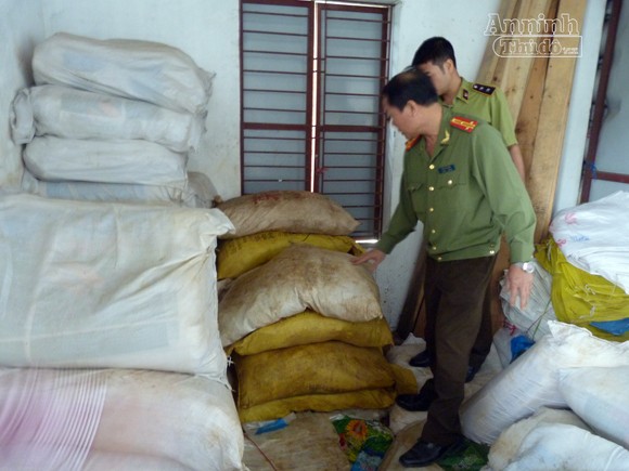 Phát hiện hàng trăm nghìn ống thuốc “kích phọt” rau mầm ảnh 5 Phát hiện hàng trăm nghìn ống thuốc “kích phọt” rau mầm ảnh 5