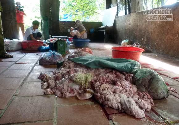 Hãi hùng cảnh chế biến mỡ, bì lợn siêu bẩn ảnh 2 Hãi hùng cảnh chế biến mỡ, bì lợn siêu bẩn ảnh 2