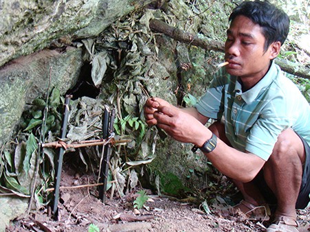 Đi bẫy "chuột tuyệt chủng 11 triệu năm" ảnh 1 Đi bẫy "chuột tuyệt chủng 11 triệu năm" ảnh 1