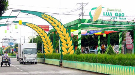 80 đôi cưới nhau vào lúc 11g ngày 11/11/2011 ảnh 2 80 đôi cưới nhau vào lúc 11g ngày 11/11/2011 ảnh 2