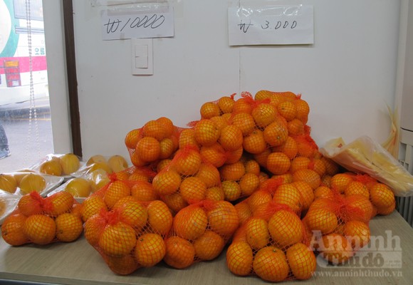 Ngỡ ngàng lạc vào vườn quýt “khủng” ảnh 15 Ngỡ ngàng lạc vào vườn quýt “khủng” ảnh 15