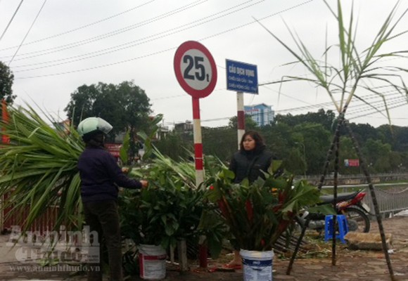 Lộc lá "xuống đường", đợi đón Giao thừa ảnh 1 Lộc lá "xuống đường", đợi đón Giao thừa ảnh 1