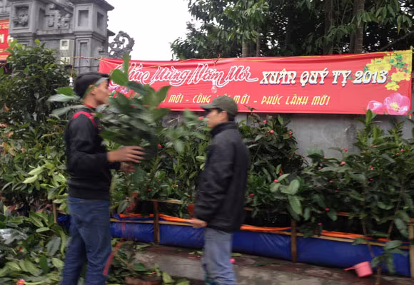 Lộc lá tràn đường, đợi đón Giao thừa ảnh 11