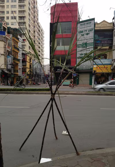 Lộc lá tràn đường, đợi đón Giao thừa ảnh 1