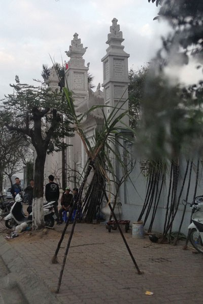 Lộc lá tràn đường, đợi đón Giao thừa ảnh 9 Lộc lá tràn đường, đợi đón Giao thừa ảnh 9