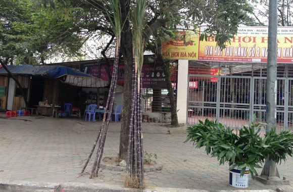Lộc lá tràn đường, đợi đón Giao thừa ảnh 10 Lộc lá tràn đường, đợi đón Giao thừa ảnh 10
