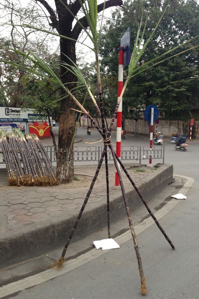 Lộc lá tràn đường, đợi đón Giao thừa ảnh 13 Lộc lá tràn đường, đợi đón Giao thừa ảnh 13