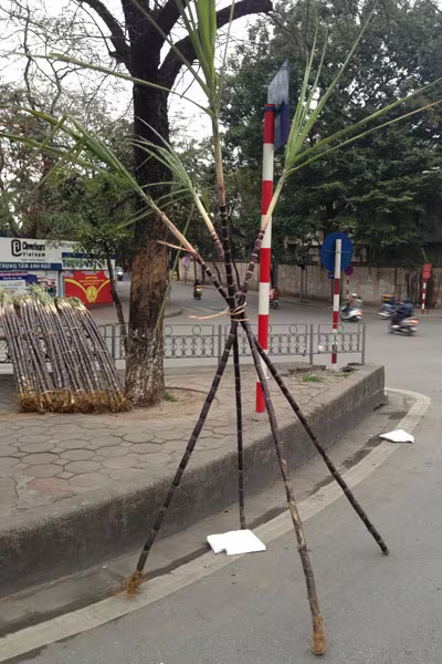 Lộc lá tràn đường, đợi đón Giao thừa ảnh 13