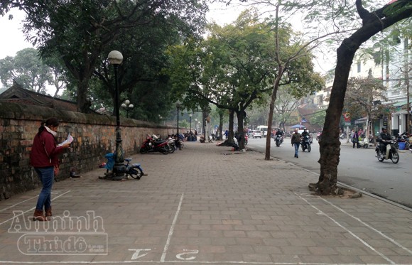 "Phố" biến thành "vườn", ông Đồ vắng bóng ảnh 2 "Phố" biến thành "vườn", ông Đồ vắng bóng ảnh 2