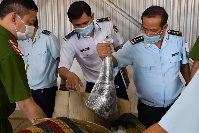 Số tang vật trong lô hàng từ Nam Phi về Việt Nam, do Cục Hải quan thành phố Đà Nẵng kiểm tra, phát hiện ngày 17/7/2021