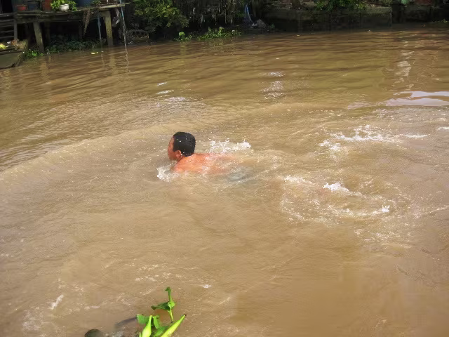 Tắm sông, 2 bé trai bị cá cắn rách "của quý" ảnh 1 Tắm sông, 2 bé trai bị cá cắn rách "của quý" ảnh 1