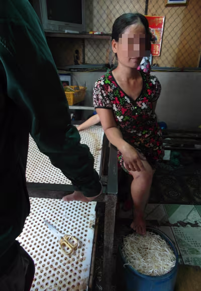 Phát hiện cơ sở sản xuất giá bằng hóa chất và đỗ xanh Trung Quốc ảnh 3 Phát hiện cơ sở sản xuất giá bằng hóa chất và đỗ xanh Trung Quốc ảnh 3