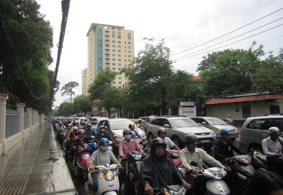 Cây cổ thụ bật gốc giữa phố, người đi đường hú vía ảnh 2 Cây cổ thụ bật gốc giữa phố, người đi đường hú vía ảnh 2