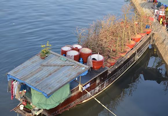 Mùa thuyền hoa về phố ảnh 10 Mùa thuyền hoa về phố ảnh 10