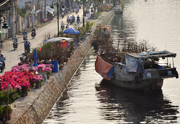 Mùa thuyền hoa về phố ảnh 11 Mùa thuyền hoa về phố ảnh 11