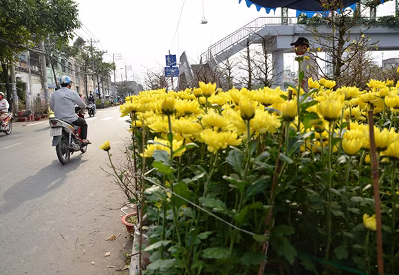 Mùa thuyền hoa về phố ảnh 2 Mùa thuyền hoa về phố ảnh 2