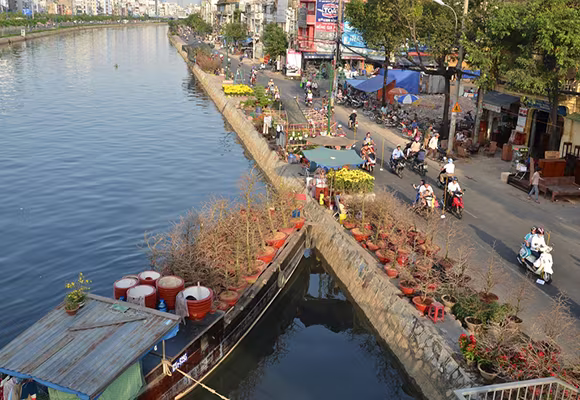 Mùa thuyền hoa về phố ảnh 9 Mùa thuyền hoa về phố ảnh 9