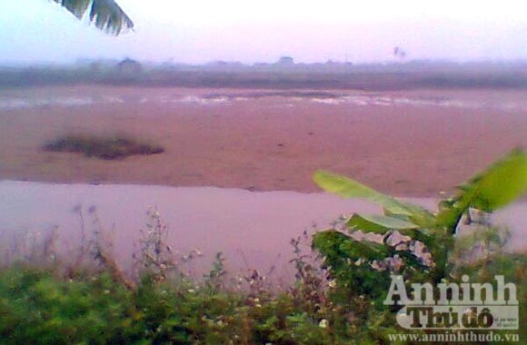 Hải Phòng rà soát ngay các khu đầm ven sông, biển ảnh 1 Hải Phòng rà soát ngay các khu đầm ven sông, biển ảnh 1
