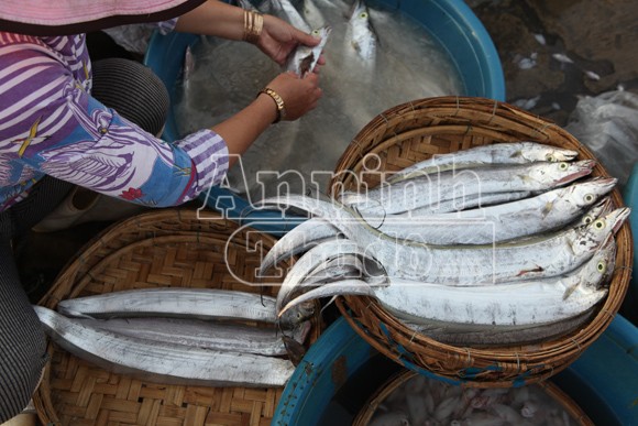 Trở lại nơi siêu bão không đi qua! ảnh 6 Trở lại nơi siêu bão không đi qua! ảnh 6