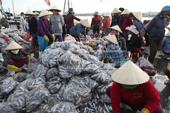 Trở lại nơi siêu bão không đi qua! ảnh 1 Trở lại nơi siêu bão không đi qua! ảnh 1