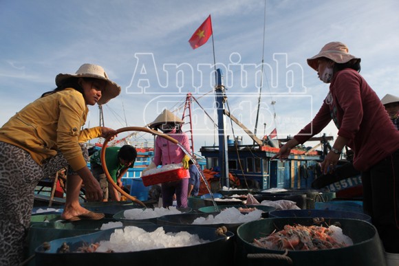 Trở lại nơi siêu bão không đi qua! ảnh 13 Trở lại nơi siêu bão không đi qua! ảnh 13