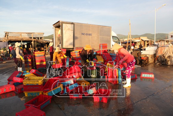 Trở lại nơi siêu bão không đi qua! ảnh 5 Trở lại nơi siêu bão không đi qua! ảnh 5