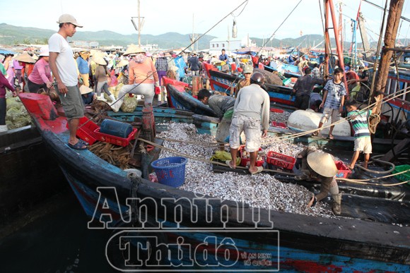 Trở lại nơi siêu bão không đi qua! ảnh 7 Trở lại nơi siêu bão không đi qua! ảnh 7