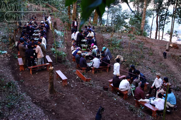 Tục xem gan lợn để biết vận mệnh trong năm ảnh 1