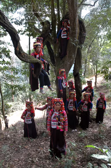 Tục xem gan lợn để biết vận mệnh trong năm ảnh 5