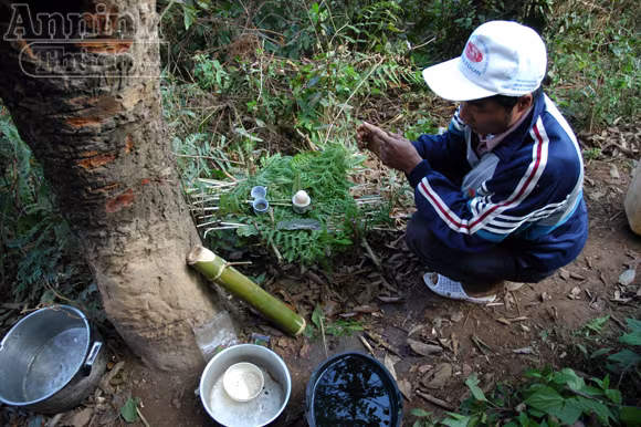 Tục xem gan lợn để biết vận mệnh trong năm ảnh 3