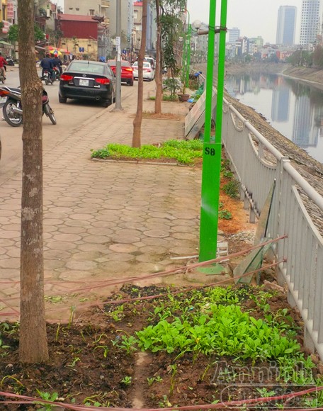 Chuyện không lạ ở phố Khương Đình mới ảnh 15 Chuyện không lạ ở phố Khương Đình mới ảnh 15