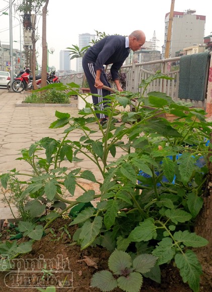 Chuyện không lạ ở phố Khương Đình mới ảnh 4 Chuyện không lạ ở phố Khương Đình mới ảnh 4