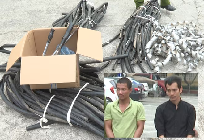 Tang vật và hai đối tượng Hải, Trường Tang vật và hai đối tượng Hải, Trường