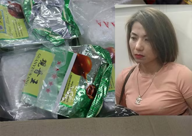 Đối tượng Hương "mẩu" và tang vật vụ án Đối tượng Hương "mẩu" và tang vật vụ án