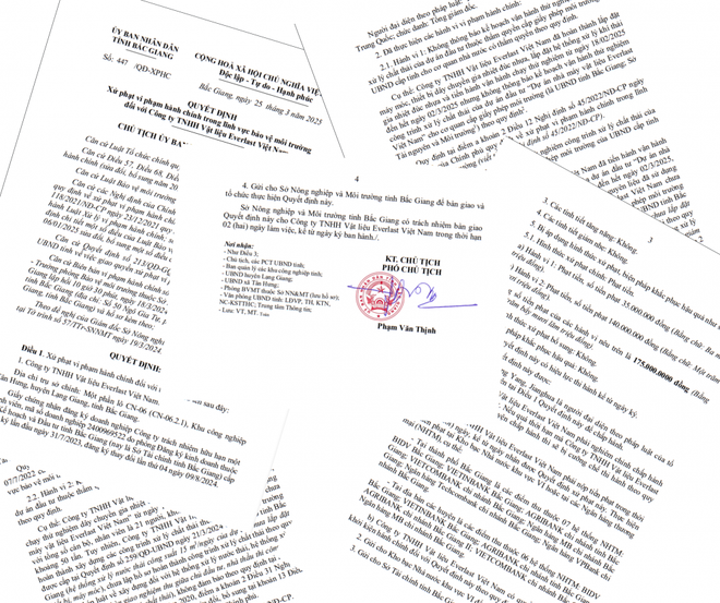 Quyết định xử phạt
