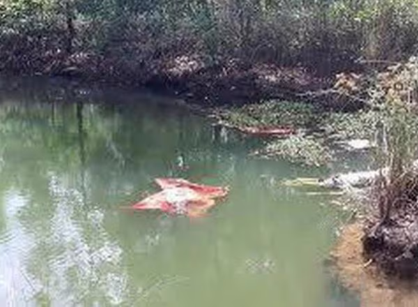 Ngã xe máy xuống ao, hai mẹ con tử vong (ảnh minh họa) Ngã xe máy xuống ao, hai mẹ con tử vong (ảnh minh họa)