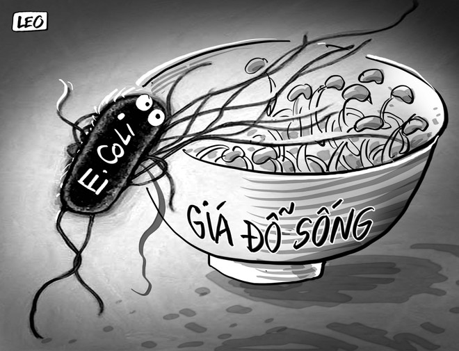 Ăn chín uống sôi cho lành ảnh 1 Ăn chín uống sôi cho lành ảnh 1