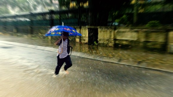 Đón chào ngày mới 15-6-2011 ảnh 1 Đón chào ngày mới 15-6-2011 ảnh 1