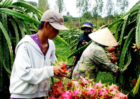 Mất thương hiệu mới đi đòi ảnh 1 Mất thương hiệu mới đi đòi ảnh 1