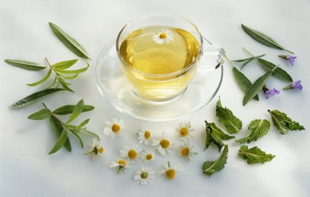 Trà từ phân gấu trúc ảnh 1 Trà từ phân gấu trúc ảnh 1