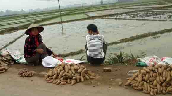 Liên kết “bốn nhà”: Vẫn nằm ỳ trên giấy ảnh 1 Liên kết “bốn nhà”: Vẫn nằm ỳ trên giấy ảnh 1