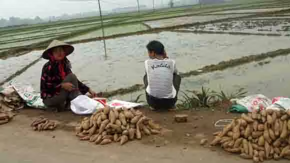 Liên kết “bốn nhà”: Vẫn nằm ỳ trên giấy ảnh 1 Liên kết “bốn nhà”: Vẫn nằm ỳ trên giấy ảnh 1