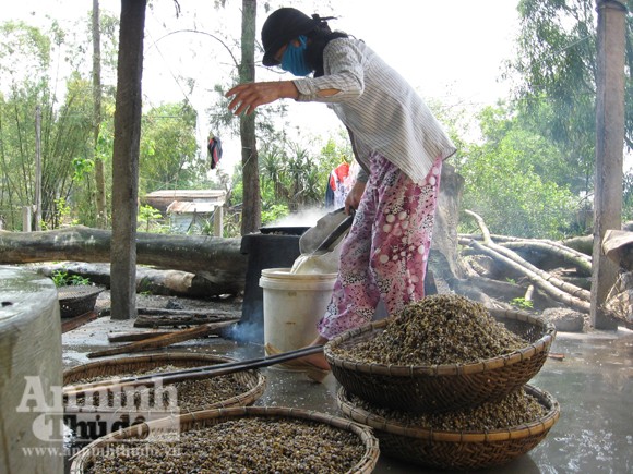 Lay lắt làng Giang Hến... ảnh 7 Lay lắt làng Giang Hến... ảnh 7