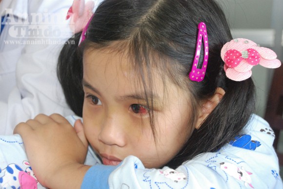 Bé Phi được về nhà mới ảnh 1 Bé Phi được về nhà mới ảnh 1