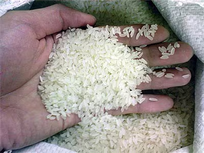 Gạo giả là thông tin thất thiệt ảnh 1 Gạo giả là thông tin thất thiệt ảnh 1