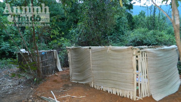 "Bệnh lạ" ở Quảng Ngãi: Tang thương làng Rêu ảnh 1 "Bệnh lạ" ở Quảng Ngãi: Tang thương làng Rêu ảnh 1