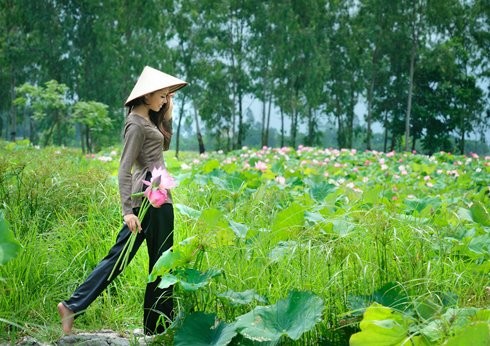 Hoa hậu biển Nguyễn Thị Loan mộc mạc bên đóa hoa sen ảnh 1 Hoa hậu biển Nguyễn Thị Loan mộc mạc bên đóa hoa sen ảnh 1