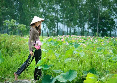 Hoa hậu biển Nguyễn Thị Loan mộc mạc bên đóa hoa sen ảnh 1 Hoa hậu biển Nguyễn Thị Loan mộc mạc bên đóa hoa sen ảnh 1