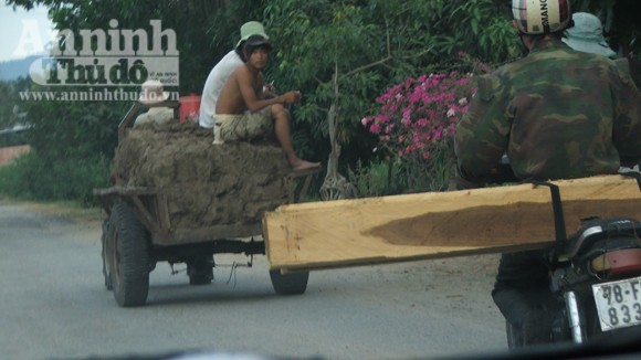 Tăng đột biến nạn vận chuyển lâm sản trái phép ảnh 1 Tăng đột biến nạn vận chuyển lâm sản trái phép ảnh 1