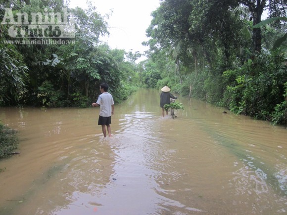 Hơn 5000 ngôi nhà nhấn chìm, 5 người chết, hàng chục người bị thương ảnh 4 Hơn 5000 ngôi nhà nhấn chìm, 5 người chết, hàng chục người bị thương ảnh 4